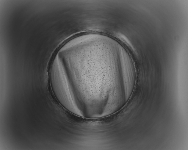 X0000088921268200706291521