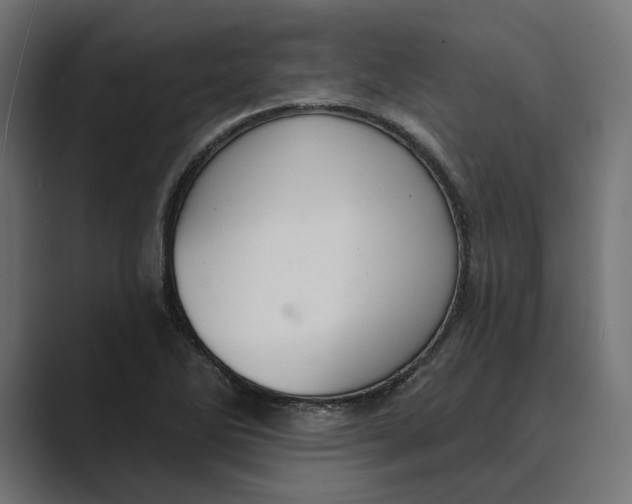 X0000088921270200706291521