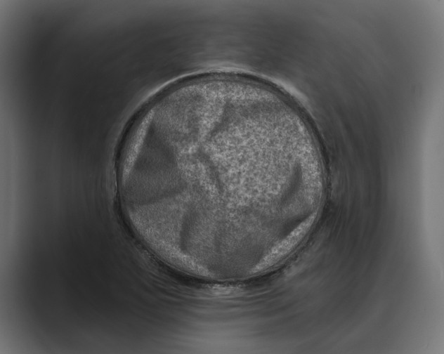 X0000088921271200706291521