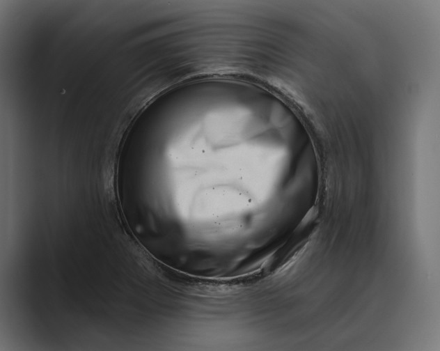 X0000088921273200706291521