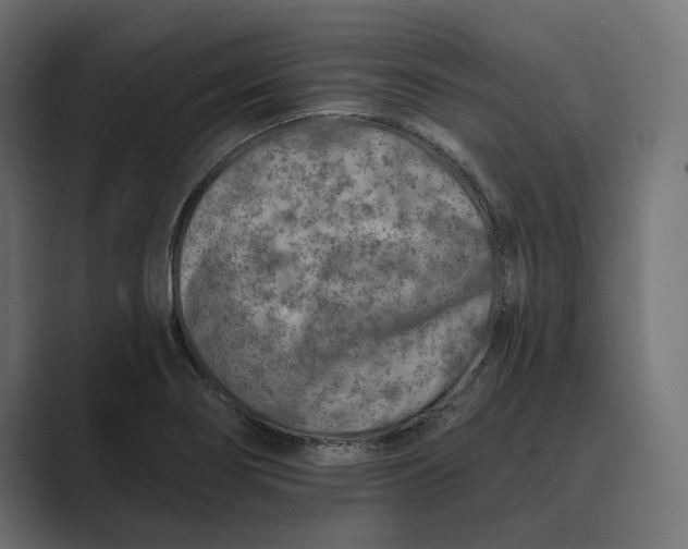 X0000088921274200706291521