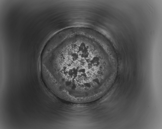 X0000088921275200706291521