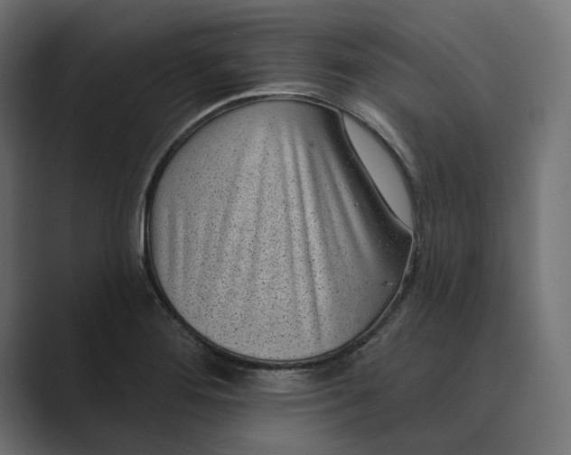 X0000088921276200706291521