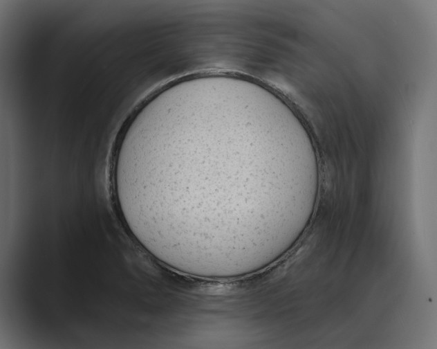 X0000088921278200706291520