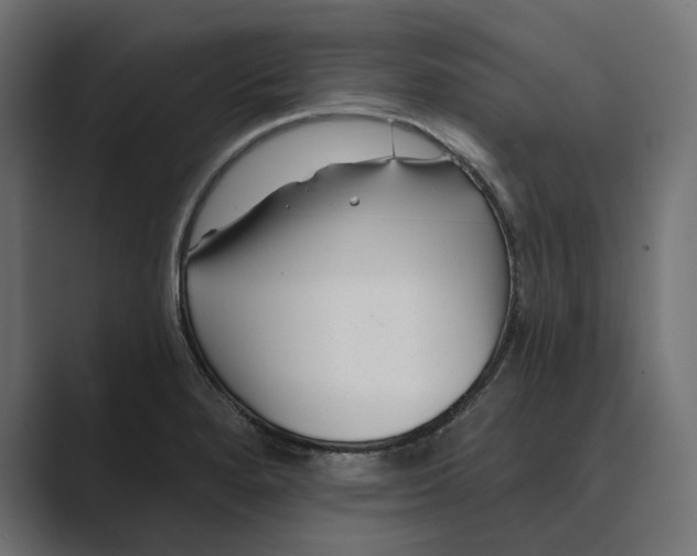 X0000088921280200706291520