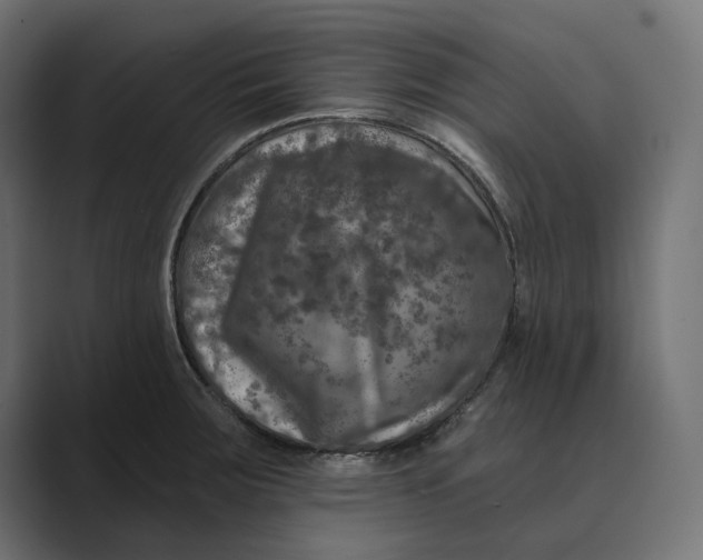 X0000088921283200706291520