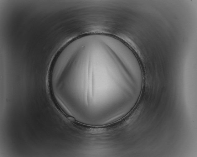 X0000088921285200706291520