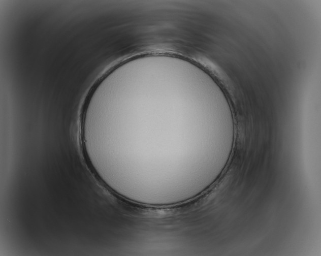 X0000088921286200706291520
