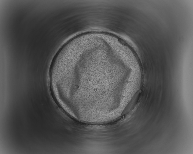 X0000088921287200706291520