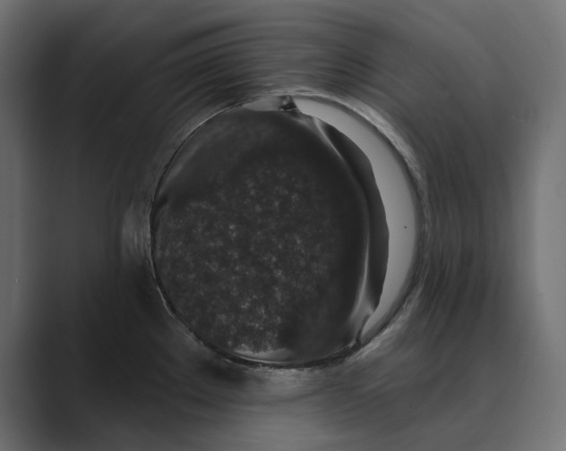 X0000088921289200706291520