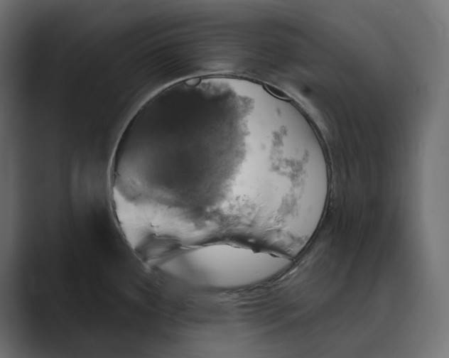 X0000088921291200706291520