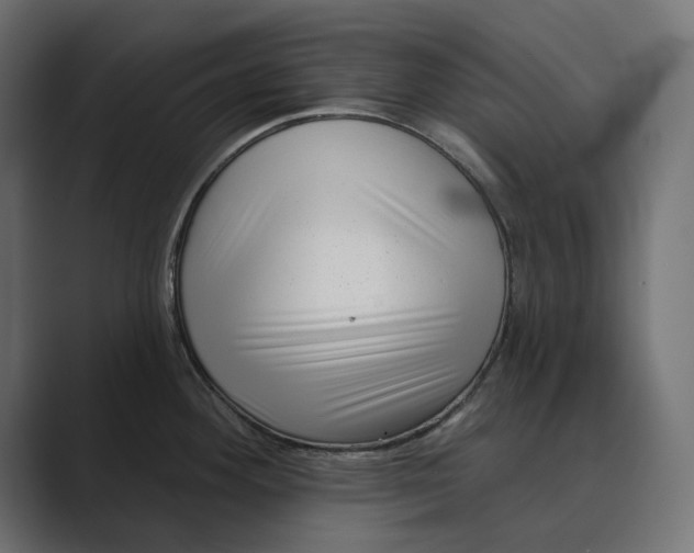 X0000088921292200706291520