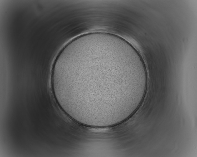 X0000088921296200706291520