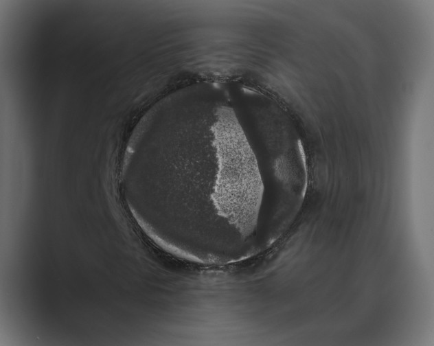 X0000088921297200706291520