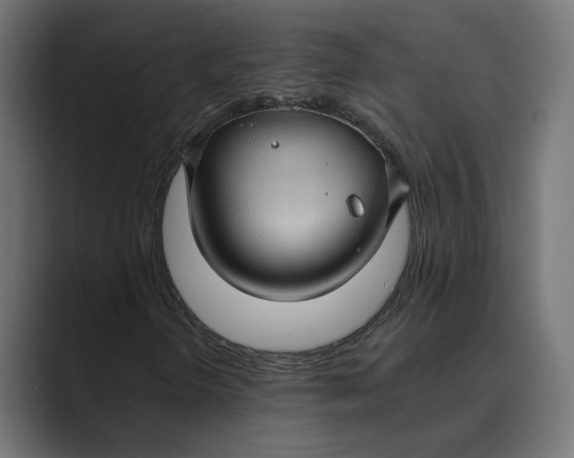 X0000088921298200706291520