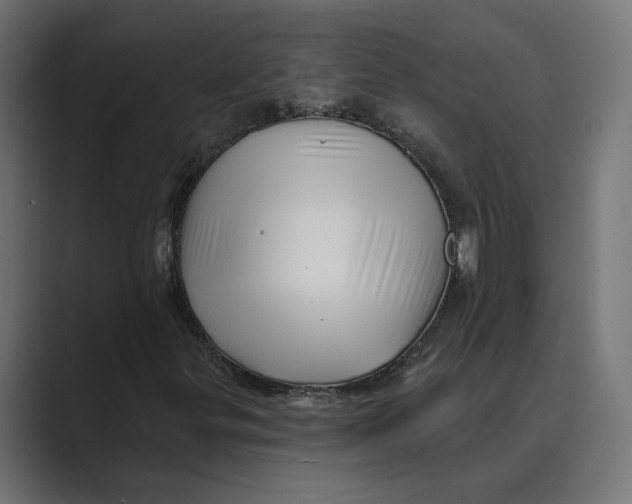 X0000088921299200706291520