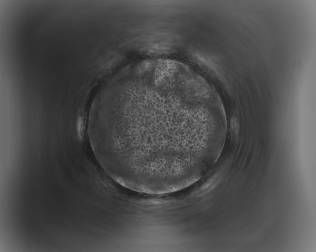 X0000088921300200706291520