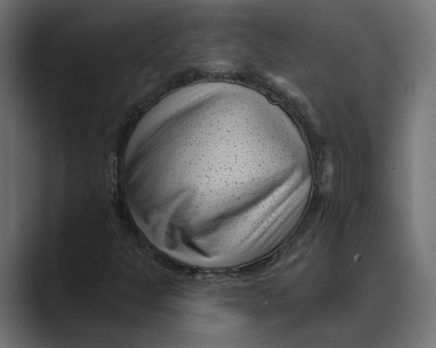 X0000088921301200706291520