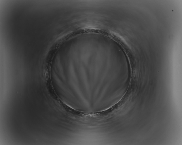 X0000088921303200706291520