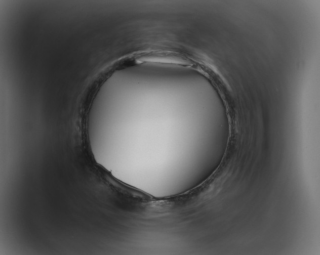 X0000088921304200706291520