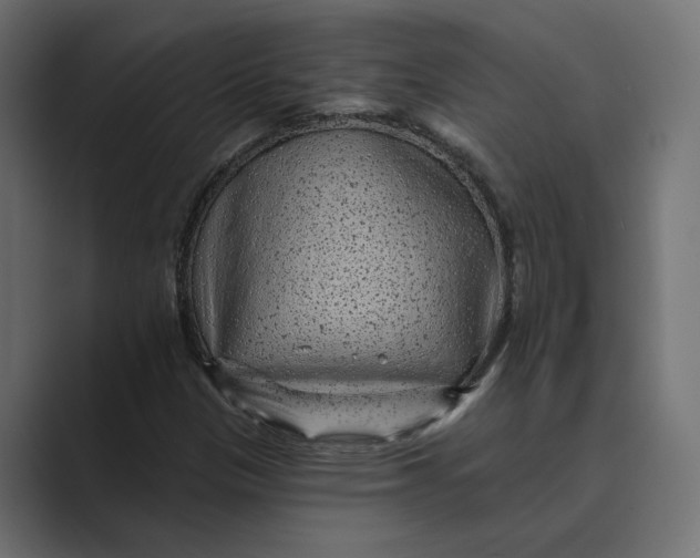 X0000088921305200706291520