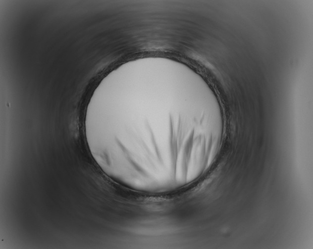 X0000088921306200706291520
