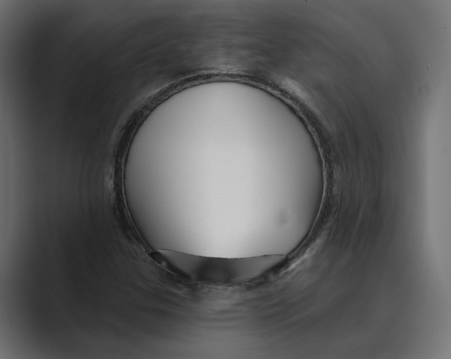 X0000088921307200706291520
