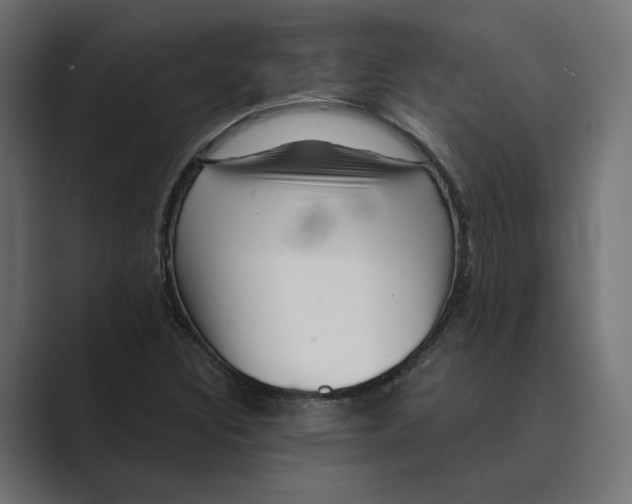 X0000088921308200706291520
