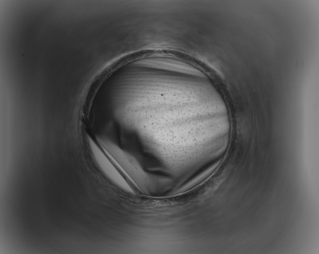 X0000088921311200706291520