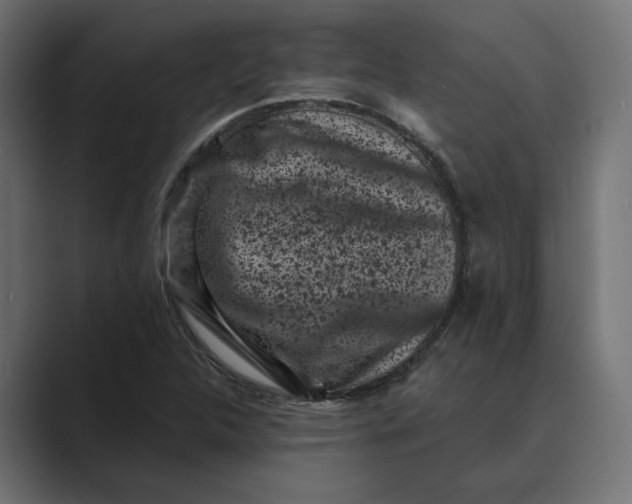 X0000088921312200706291520