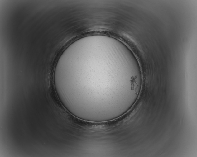 X0000088921313200706291520