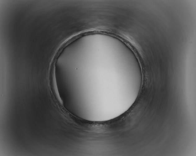 X0000088921316200706291520