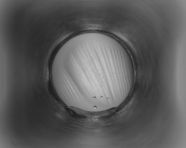 X0000088921317200706291520