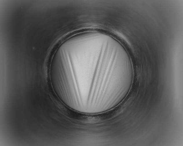 X0000088921318200706291520