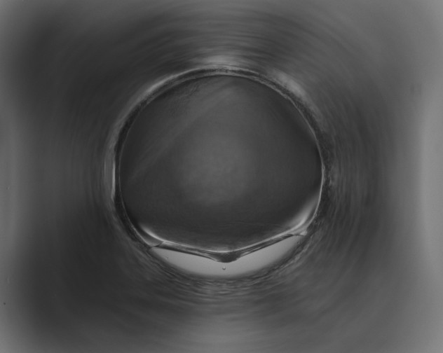 X0000088921323200706291520