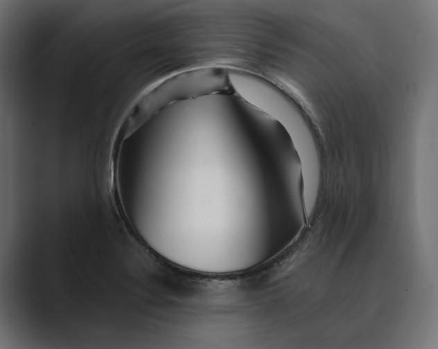 X0000088921324200706291520