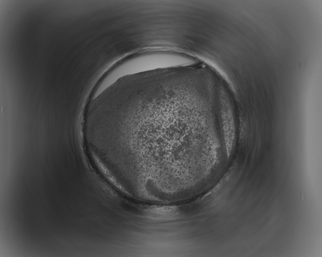 X0000088921325200706291520