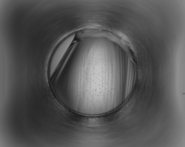 X0000088921326200706291520