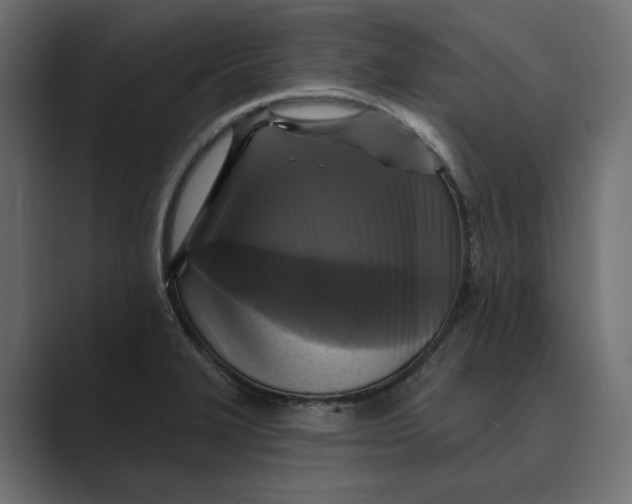 X0000088921327200706291520