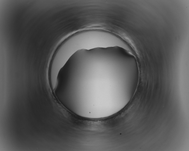 X0000088921328200706291520