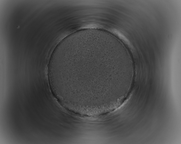 X0000088921329200706291520