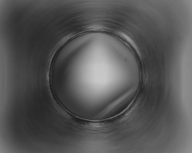 X0000088921330200706291520