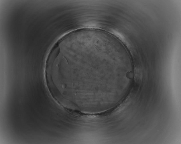 X0000088921331200706291520