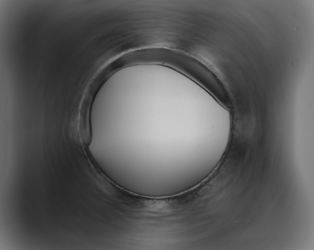 X0000088921332200706291520
