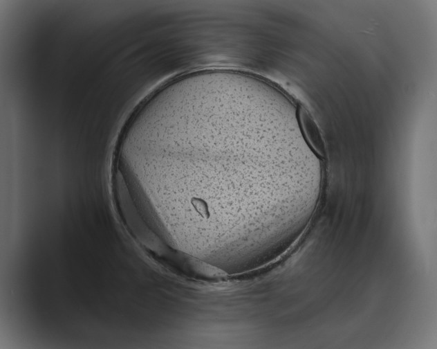 X0000088921333200706291520