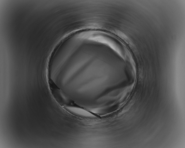 X0000088921334200706291520