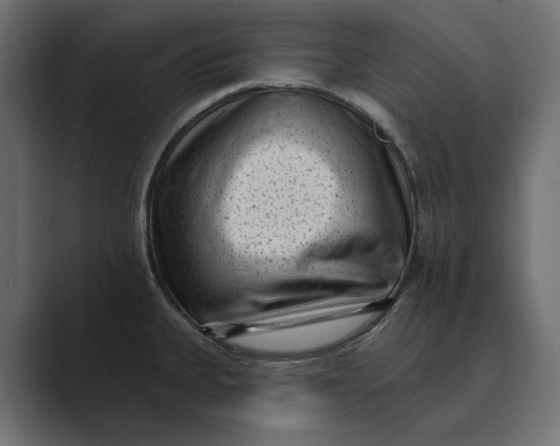 X0000088921335200706291520