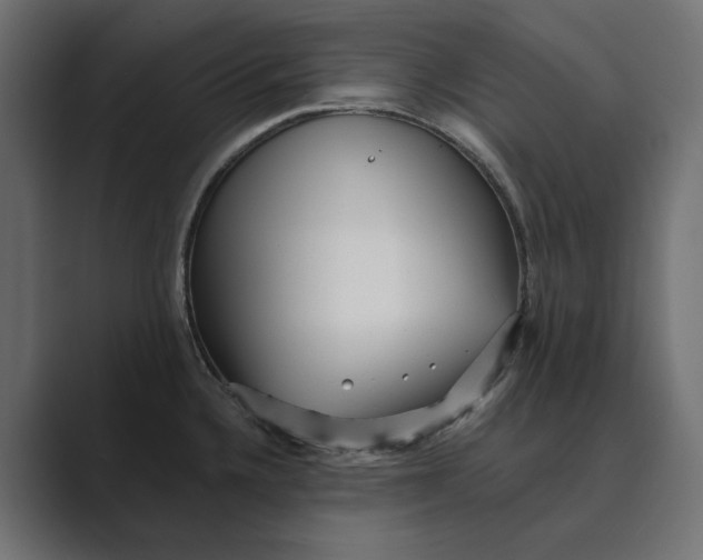 X0000088921336200706291520