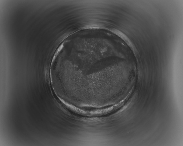X0000088921337200706291520