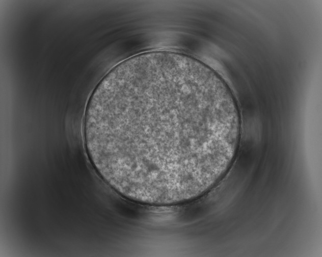 X0000088921338200706291520